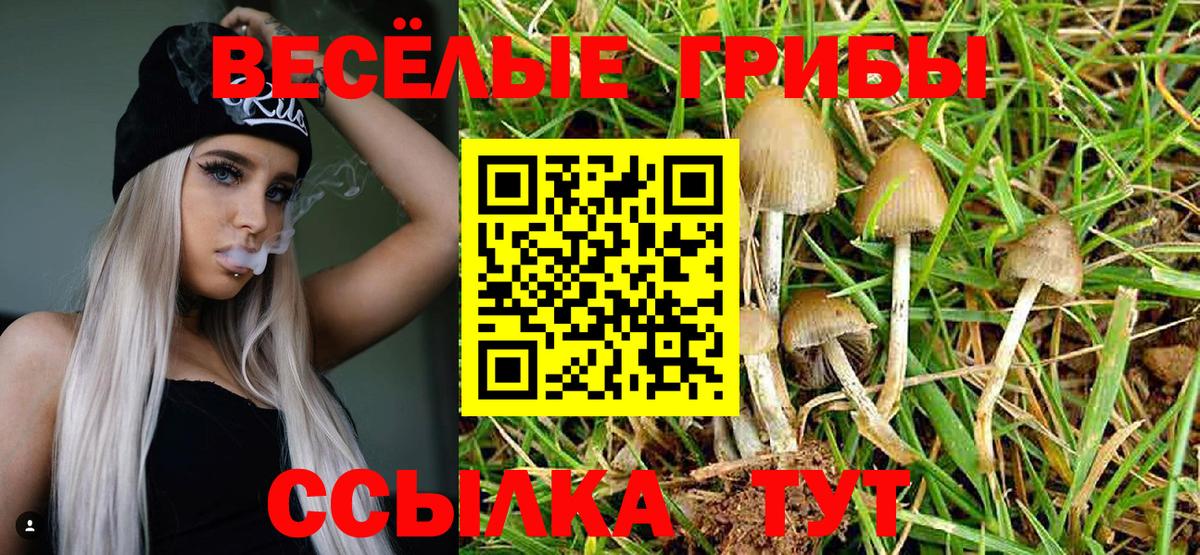 Псилоцибиновые грибы Psilocybine cubensis  Псилоцибиновые грибы прущие грибы  Вход с VPN  Ялуторовск 